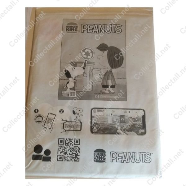 Peanuts Activity Book (2)