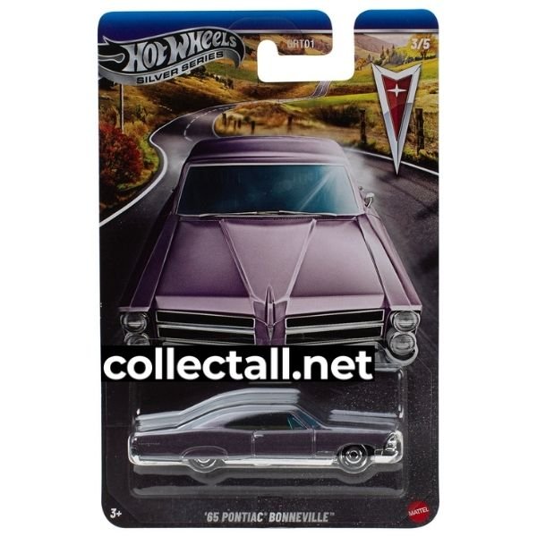 '65 Pontiac Bonneville (3/5)