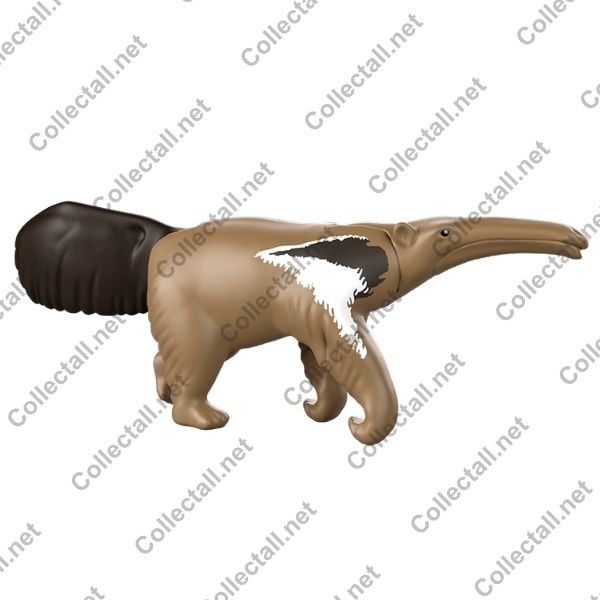 Anteater