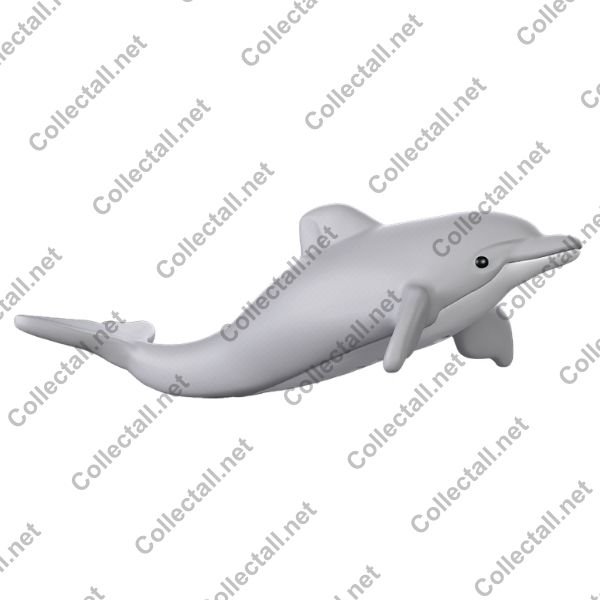 Dolphin