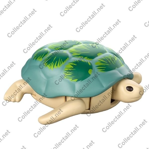 Green Sea Turtle