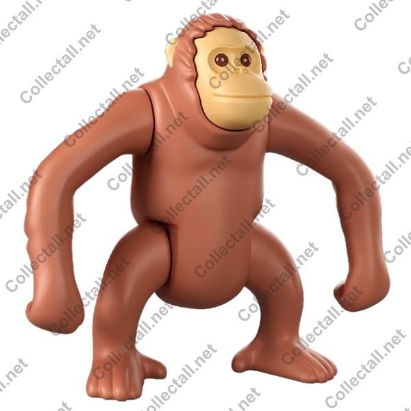 Orangutan