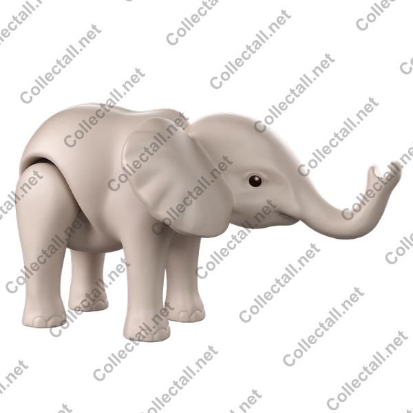 Young Elephant