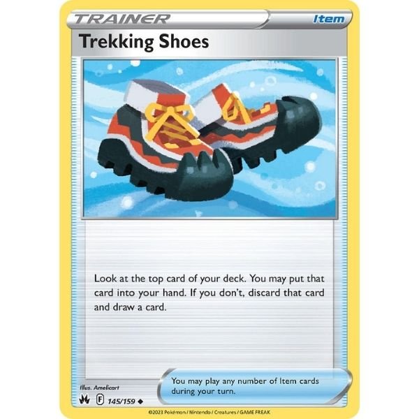 Trekking Shoes (145/159)