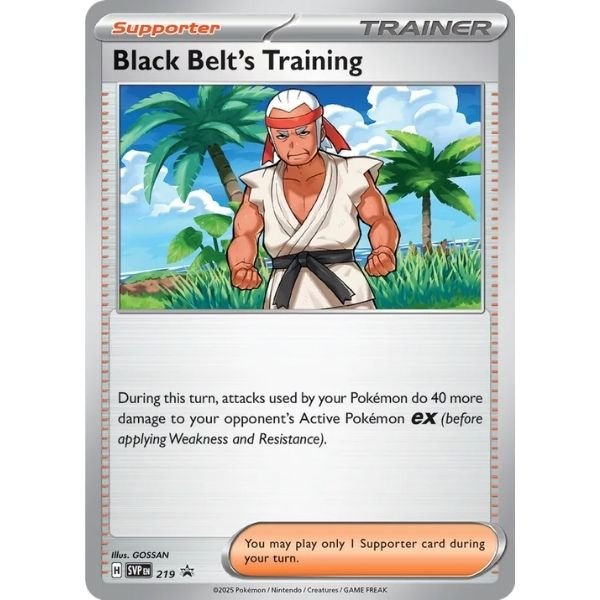Black Belt's Training (219)