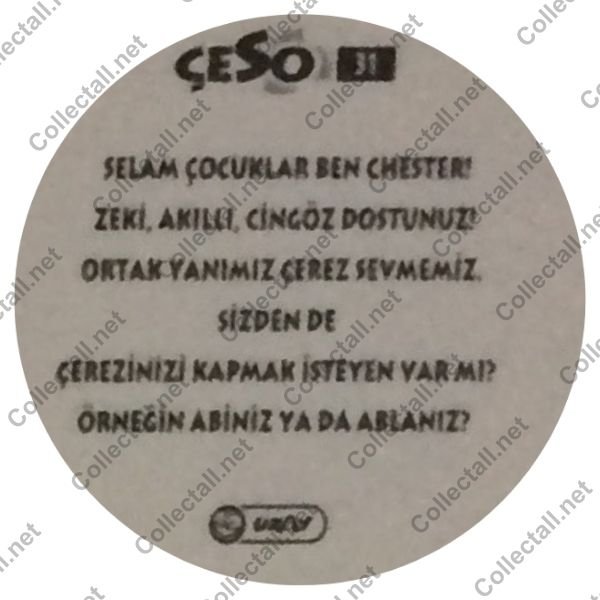 Çeso Taso (31)
